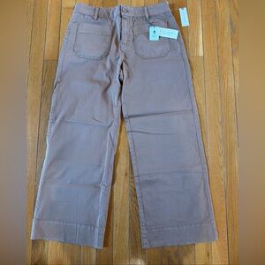 New NWT $99 Anthropologie Sanctuary Surplus Wide Leg Pants Sz 29 Cocoa Brown